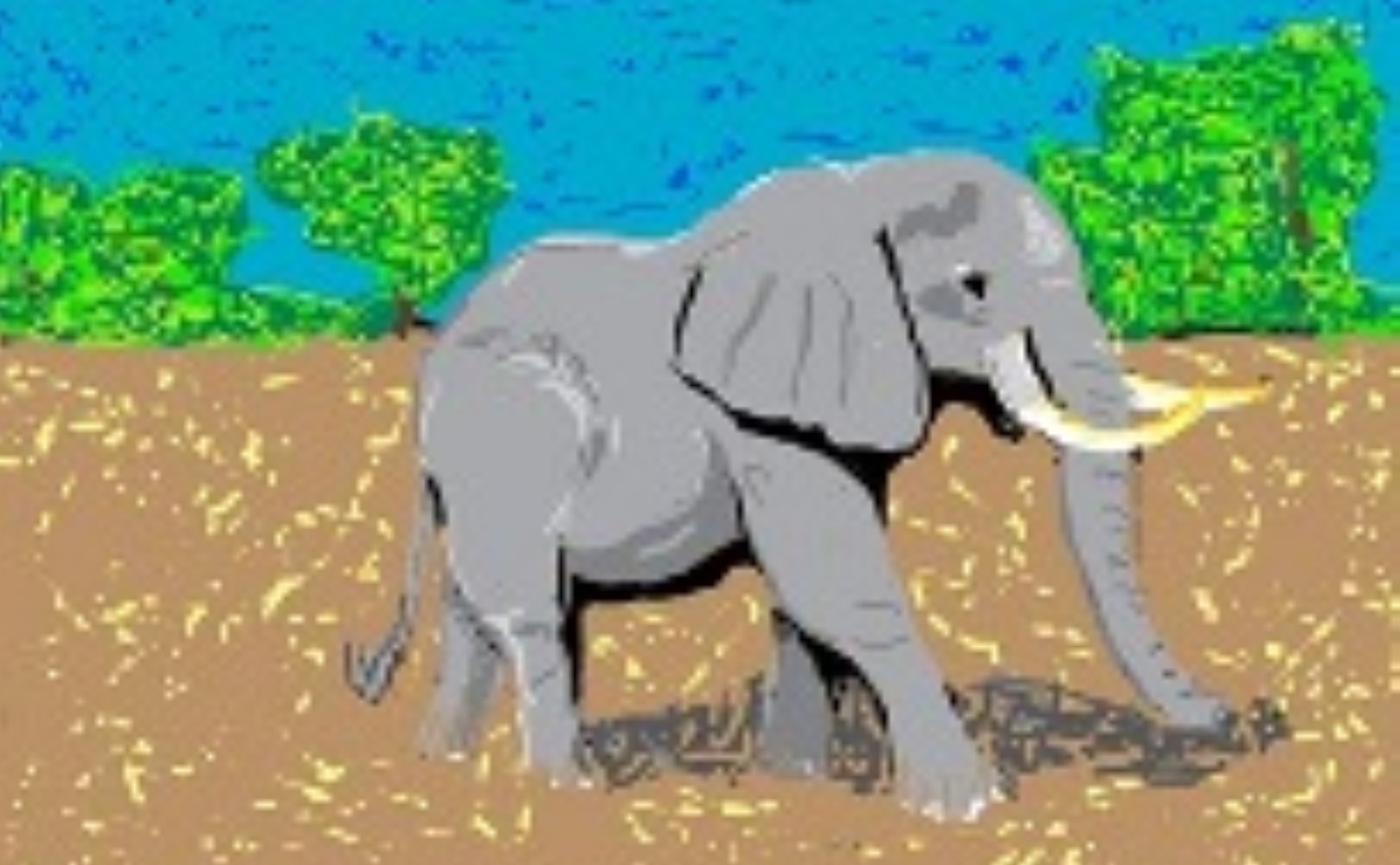 Elephant on the Savanna